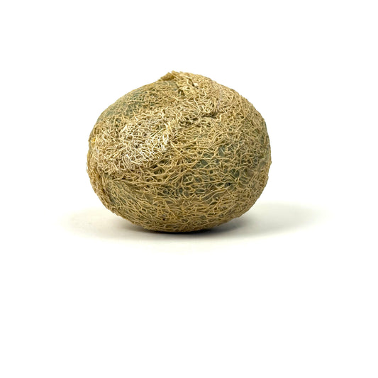 Luffa mit Zeder Seife und Honig